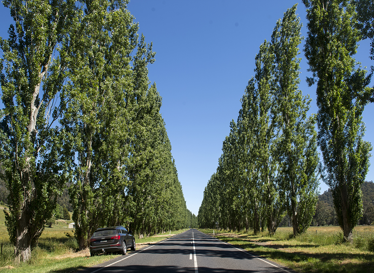 The drive home from Marysville