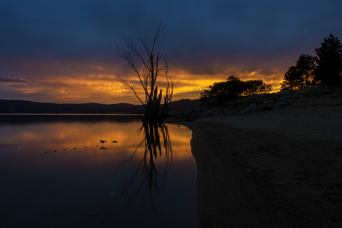 Sunrise on Lake Jindabyne 